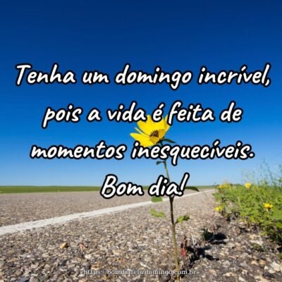 Tenha um domingo incrível, pois a vida é feita de momentos inesquecíveis. Bom dia!