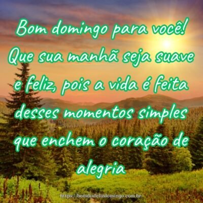 Bom domingo para você! Que sua manhã seja suave e feliz, pois a vida é feita desses momentos simples que enchem o coração de alegria.
