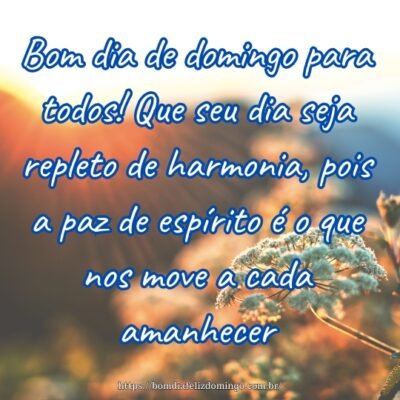 Bom dia de domingo para todos! Que seu dia seja repleto de harmonia, pois a paz de espírito é o que nos move a cada amanhecer.