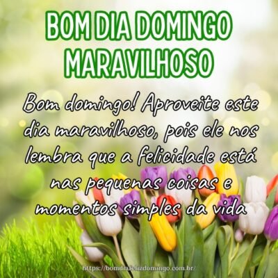 Bom domingo! Aproveite este dia maravilhoso, pois ele nos lembra que a felicidade está nas pequenas coisas e momentos simples da vida.