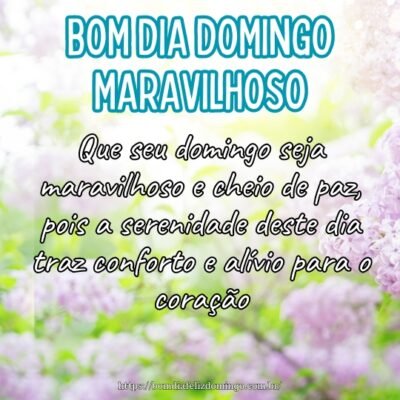 Que seu domingo seja maravilhoso e cheio de paz, pois a serenidade deste dia traz conforto e alívio para o coração.