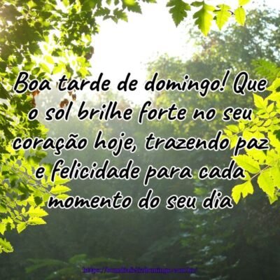 Boa tarde de domingo! Que o sol brilhe forte no seu coração hoje, trazendo paz e felicidade para cada momento do seu dia.