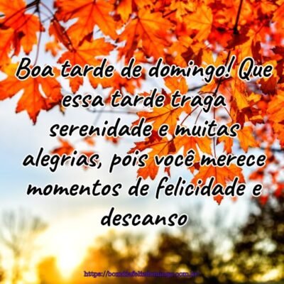 Boa tarde de domingo! Que essa tarde traga serenidade e muitas alegrias, pois você merece momentos de felicidade e descanso.