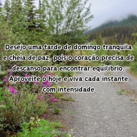 Desejo uma tarde de domingo tranquila e cheia de paz, pois o coração precisa de descanso para encontrar equilíbrio. Aproveite o hoje e viva cada instante com intensidade.