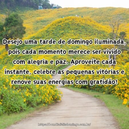 Desejo uma tarde de domingo iluminada, pois cada momento merece ser vivido com alegria e paz. Aproveite cada instante, celebre as pequenas vitórias e renove suas energias com gratidão!