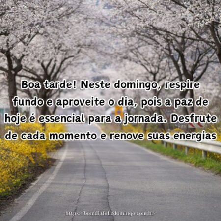 Boa tarde! Neste domingo, respire fundo e aproveite o dia, pois a paz de hoje é essencial para a jornada. Desfrute de cada momento e renove suas energias.