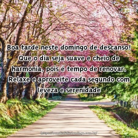 Boa tarde neste domingo de descanso! Que o dia seja suave e cheio de harmonia, pois é tempo de renovar. Relaxe e aproveite cada segundo com leveza e serenidade.