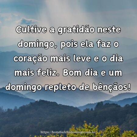 Cultive a gratidão neste domingo, pois ela faz o coração mais leve e o dia mais feliz. Bom dia e um domingo repleto de bênçãos!