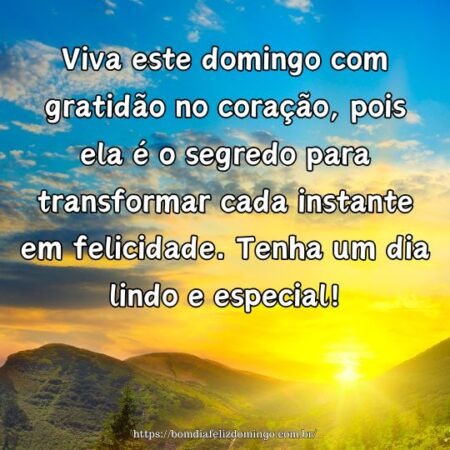 Viva este domingo com gratidão no coração, pois ela é o segredo para transformar cada instante em felicidade. Tenha um dia lindo e especial!