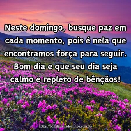 Neste domingo, busque paz em cada momento, pois é nela que encontramos força para seguir. Bom dia e que seu dia seja calmo e repleto de bênçãos!