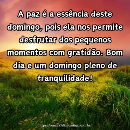 A paz é a essência deste domingo, pois ela nos permite desfrutar dos pequenos momentos com gratidão. Bom dia e um domingo pleno de tranquilidade!