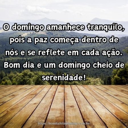 O domingo amanhece tranquilo, pois a paz começa dentro de nós e se reflete em cada ação. Bom dia e um domingo cheio de serenidade!