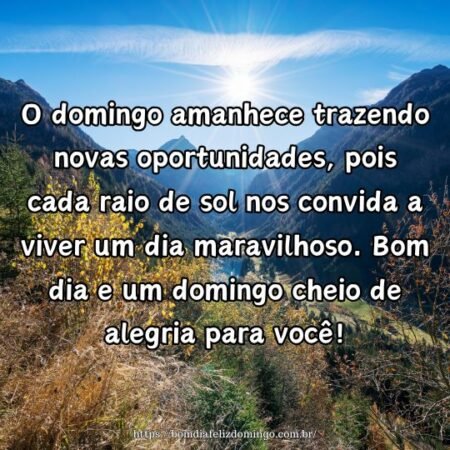 O domingo amanhece trazendo novas oportunidades, pois cada raio de sol nos convida a viver um dia maravilhoso. Bom dia e um domingo cheio de alegria para você!