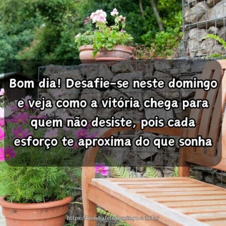 Bom dia! Desafie-se neste domingo e veja como a vitória chega para quem não desiste, pois cada esforço te aproxima do que sonha. Bom dia! Desafie-se neste domingo e veja como a vitória chega para quem não desiste, pois cada esforço te aproxima do que sonha.