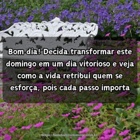 Bom dia! Decida transformar este domingo em um dia vitorioso e veja como a vida retribui quem se esforça, pois cada passo importa. Bom dia! Decida transformar este domingo em um dia vitorioso e veja como a vida retribui quem se esforça, pois cada passo importa.