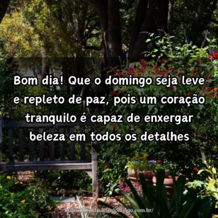 Bom dia! Que o domingo seja leve e repleto de paz, pois um coração tranquilo é capaz de enxergar beleza em todos os detalhes. Bom dia! Que o domingo seja leve e repleto de paz, pois um coração tranquilo é capaz de enxergar beleza em todos os detalhes.