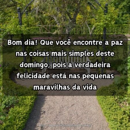 Bom dia! Que você encontre a paz nas coisas mais simples deste domingo, pois a verdadeira felicidade está nas pequenas maravilhas da vida. Bom dia! Que você encontre a paz nas coisas mais simples deste domingo, pois a verdadeira felicidade está nas pequenas maravilhas da vida.