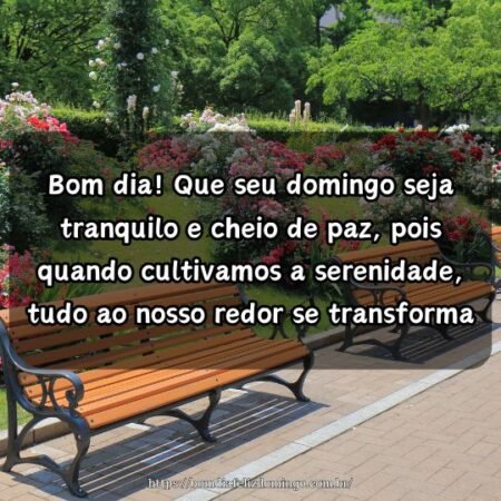 Bom dia! Que seu domingo seja tranquilo e cheio de paz, pois quando cultivamos a serenidade, tudo ao nosso redor se transforma. Bom dia! Que seu domingo seja tranquilo e cheio de paz, pois quando cultivamos a serenidade, tudo ao nosso redor se transforma.