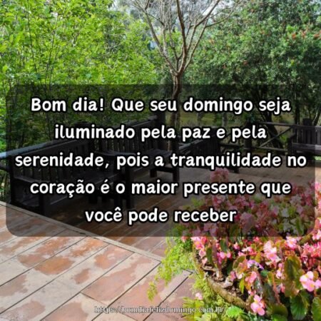 Bom dia! Que seu domingo seja iluminado pela paz e pela serenidade, pois a tranquilidade no coração é o maior presente que você pode receber. Bom dia! Que seu domingo seja iluminado pela paz e pela serenidade, pois a tranquilidade no coração é o maior presente que você pode receber.