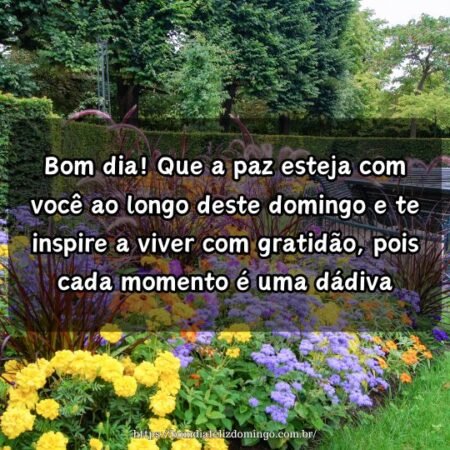 Bom dia! Que a paz esteja com você ao longo deste domingo e te inspire a viver com gratidão, pois cada momento é uma dádiva. Bom dia! Que a paz esteja com você ao longo deste domingo e te inspire a viver com gratidão, pois cada momento é uma dádiva.