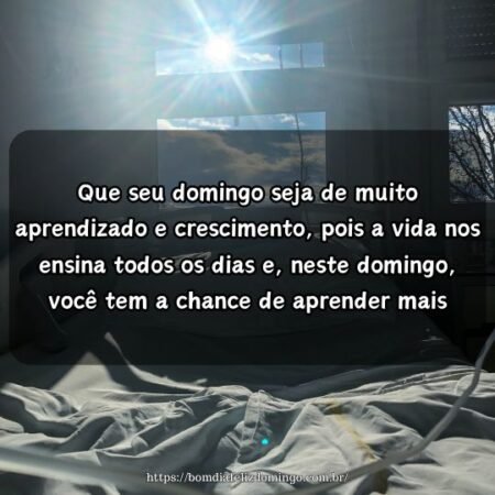 Que seu domingo seja de muito aprendizado e crescimento, pois a vida nos ensina todos os dias e, neste domingo, você tem a chance de aprender mais. Que seu domingo seja de muito aprendizado e crescimento, pois a vida nos ensina todos os dias e, neste domingo, você tem a chance de aprender mais.