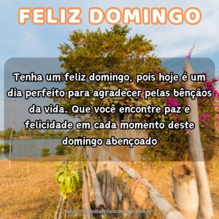 Tenha um feliz domingo, pois hoje é um dia perfeito para agradecer pelas bênçãos da vida. Que você encontre paz e felicidade em cada momento deste domingo abençoado. Tenha um feliz domingo, pois hoje é um dia perfeito para agradecer pelas bênçãos da vida. Que você encontre paz e felicidade em cada momento deste domingo abençoado.