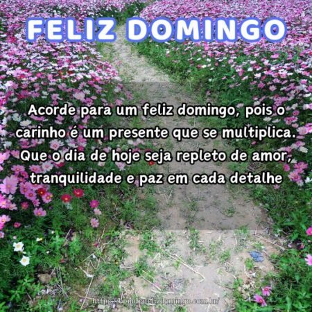 Acorde para um feliz domingo, pois o carinho é um presente que se multiplica. Que o dia de hoje seja repleto de amor, tranquilidade e paz em cada detalhe. Acorde para um feliz domingo, pois o carinho é um presente que se multiplica. Que o dia de hoje seja repleto de amor, tranquilidade e paz em cada detalhe.