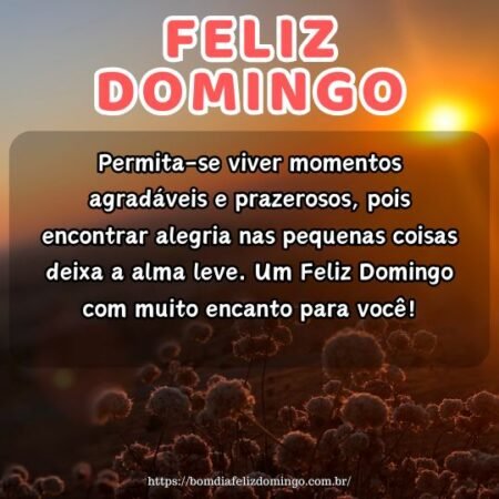 Permita-se viver momentos agradáveis e prazerosos, pois encontrar alegria nas pequenas coisas deixa a alma leve. Um Feliz Domingo com muito encanto para você! Permita-se viver momentos agradáveis e prazerosos, pois encontrar alegria nas pequenas coisas deixa a alma leve. Um Feliz Domingo com muito encanto para você!