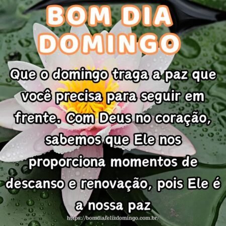 Que o domingo traga a paz que você precisa para seguir em frente. Com Deus no coração, sabemos que Ele nos proporciona momentos de descanso e renovação, pois Ele é a nossa paz.