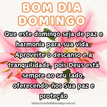 Que este domingo seja de paz e harmonia para sua vida. Aproveite o descanso e a tranquilidade, pois Deus está sempre ao seu lado, oferecendo-nos Sua paz e proteção.