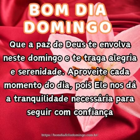 Que a paz de Deus te envolva neste domingo e te traga alegria e serenidade. Aproveite cada momento do dia, pois Ele nos dá a tranquilidade necessária para seguir com confiança.