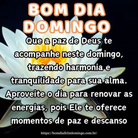 Que a paz de Deus te acompanhe neste domingo, trazendo harmonia e tranquilidade para sua alma. Aproveite o dia para renovar as energias, pois Ele te oferece momentos de paz e descanso.