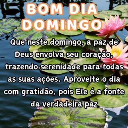 Que neste domingo, a paz de Deus envolva seu coração, trazendo serenidade para todas as suas ações. Aproveite o dia com gratidão, pois Ele é a fonte da verdadeira paz.