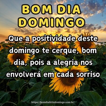 Que a positividade deste domingo te cerque, bom dia, pois a alegria nos envolverá em cada sorriso. Que a positividade deste domingo te cerque, bom dia, pois a alegria nos envolverá em cada sorriso.