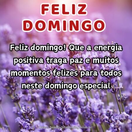 Feliz domingo! Que a energia positiva traga paz e muitos momentos felizes para todos neste domingo especial. Feliz domingo! Que a energia positiva traga paz e muitos momentos felizes para todos neste domingo especial.