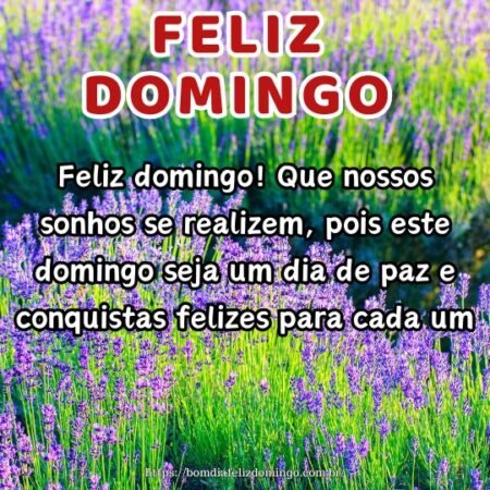 Feliz domingo! Que nossos sonhos se realizem, pois este domingo seja um dia de paz e conquistas felizes para cada um. Feliz domingo! Que nossos sonhos se realizem, pois este domingo seja um dia de paz e conquistas felizes para cada um.