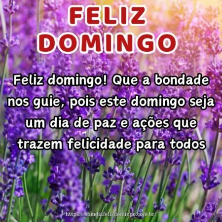 Feliz domingo! Que a bondade nos guie, pois este domingo seja um dia de paz e ações que trazem felicidade para todos. Feliz domingo! Que a bondade nos guie, pois este domingo seja um dia de paz e ações que trazem felicidade para todos.